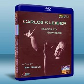 卡洛斯·克萊伯之了無痕跡 2011音樂會 CARLOS ...