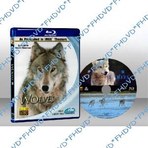 IMAX 系列- 狼 IMAX - Wolves