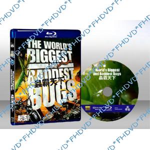 蟲霸天下 The World's Biggest and Baddest Bugs 