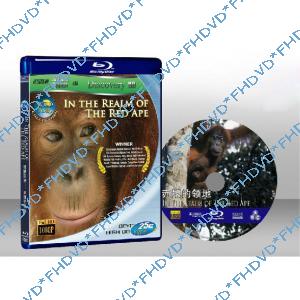 狂野亞洲：赤猿的領地 Wild Asia 1 In the Realm of the Red Ape