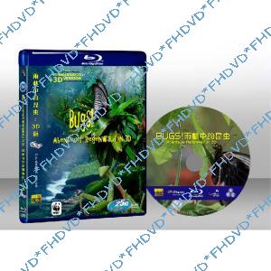 雨林中的昆蟲 Bugs! A Rainforest Adventure