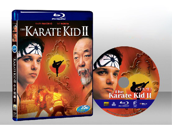 小子難纏2 The Karate Kid Part 2