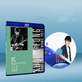 方大同15 香港演唱會2011 