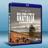 安納托利亞往事 Once Upon a Time in Anatolia 