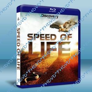 探索頻道:生命的速度 Speed of Life 