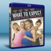 好孕一起來 What to Expect When You're Expecting  