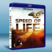 探索頻道:生命的速度 Speed of Life