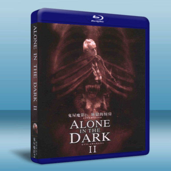 鬼屋魔影2：地獄的廚房/異形鬼屋2 Alone in the Dark II 