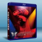濱崎步除夕夜倒數演唱會2010-2011 