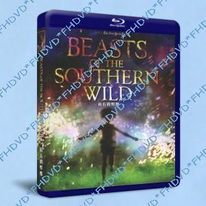 南國野獸/南方的野獸 / 南蠻之地的野獸 Beasts of the Southern Wild