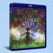 南國野獸/南方的野獸 / 南蠻之地的野獸 Beasts of the Southern Wild