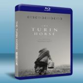 都靈之馬The Turin Horse