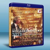 維也納新年音樂會 Vienna New Year's Concert2013 