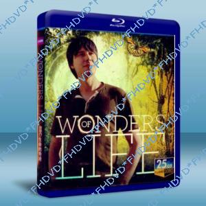 BBC生命的奇跡 Wonders of Life 雙碟版
