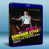 PSY(鳥叔) 2013年首爾演唱會