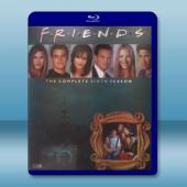 FRIENDS六人行/老友記 第6季 雙碟