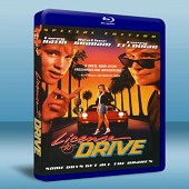 駕駛執照 License to Drive