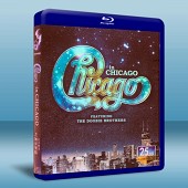 芝加哥樂隊：在芝加哥 Chicago in Chicag...