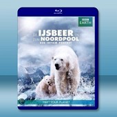 BBC 北極熊冰上間諜  Polar Bear Spy on the Ice