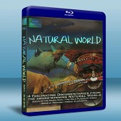 BBC 自然世界系列 Natural World   雙...