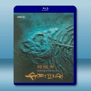韓國KBS記錄片:超級魚2013  雙碟版-（藍光影片25G）