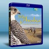 BBC狂野阿拉伯 Wild Arabia -（藍光影片2...