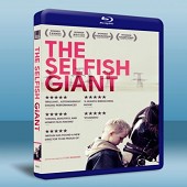 刺蝟少年 The Selfish Giant    -（...