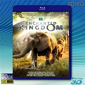(3D+2D)魔法王國 Enchanted Kingdom   -（藍光影片50G） 