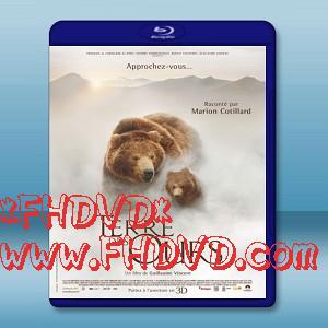 棕熊之國 Terre des Ours (2014)-（藍光影片25G）