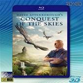 （3D+2D）征服天穹 Conquest of the Skies (2014)-（藍光影片50G）