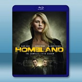 Homeland 國土 /國土安全 第5季  (2碟) ...