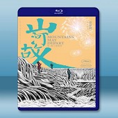 山河故人 (2015) -（藍光影片25G）