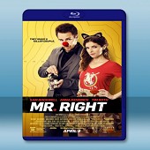 真命天子 /合適的男伴侶 Mr. Right (2015...