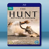 獵捕 The Hunt (3碟)  -（藍光影片25G）