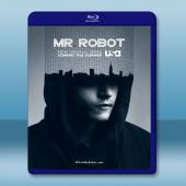  駭客軍團 Mr.Robot 第1季 (2碟) 藍光25G 