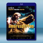  愛是一條狗 Amores perros (2000) 藍光25G