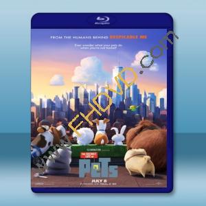  寵物當家 The Secret Life of Pets (2016) 藍光影片25G