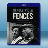  心靈圍籬 Fences (2016) 藍光25G