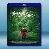  乘願再來九百年 (2016) 藍光影片25G