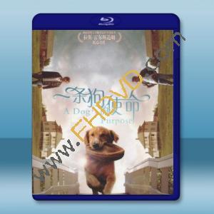  為了與你相遇 A Dog's Purpose (2017) 藍光25G