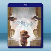  為了與你相遇 A Dog's Purpose (2017) 藍光25G