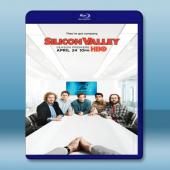 矽谷群瞎傳 Silicon Valley 第3季 (2碟...