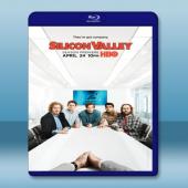  矽谷群瞎傳 Silicon Valley 第3季 (2碟) 藍光25G 