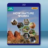  BBC 大自然法則/自然的運作 How Nature Works  藍光影片25G