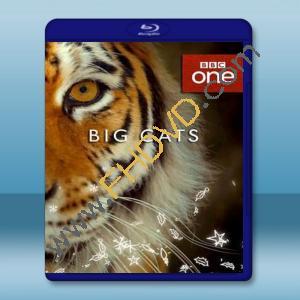  大貓 Big Cats (2018)  藍光影片25G