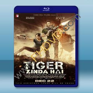  老虎是活的 Tiger Zinda Hai (2017) 藍光25G