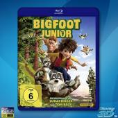  (3D+2D) 我的爸爸是森林之王 The Son of Bigfoot [2017] 藍光影片25G 