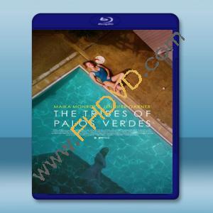  帕洛斯佛迪市中的部落 Tribes of Palos Verdes (2017) 藍光25G
