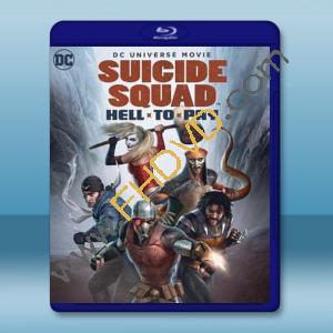  自殺突擊隊：嚴厲懲罰/自殺小隊：嚴厲懲罰 Suicide Squad: Hell to Pay (2018) 藍光影片25G