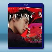 致命之吻 (2018) <1碟> 藍光25G